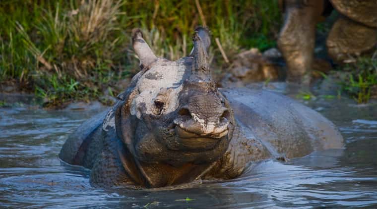 Assam Tour Package