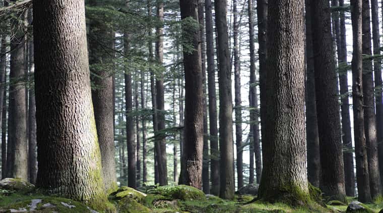 Best of Kumaon Hill Tour