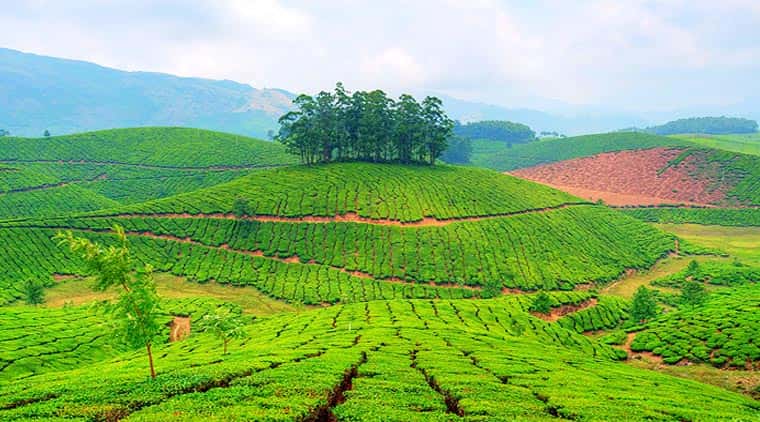 Munnar Hill Station Tour