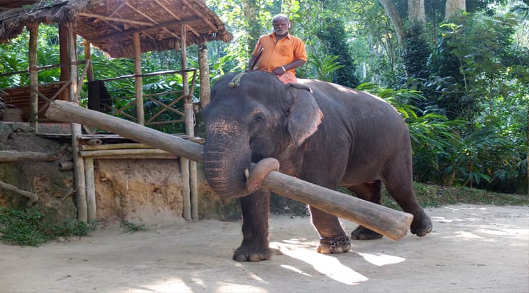 Tour to Kerala