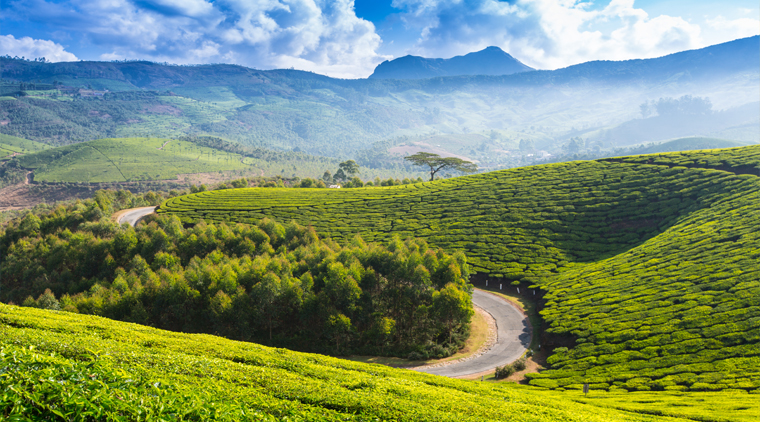 ooty and kodaikanal tour packages from chennai